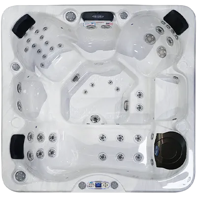 Avalon EC-849L hot tubs for sale in Pompano Beach